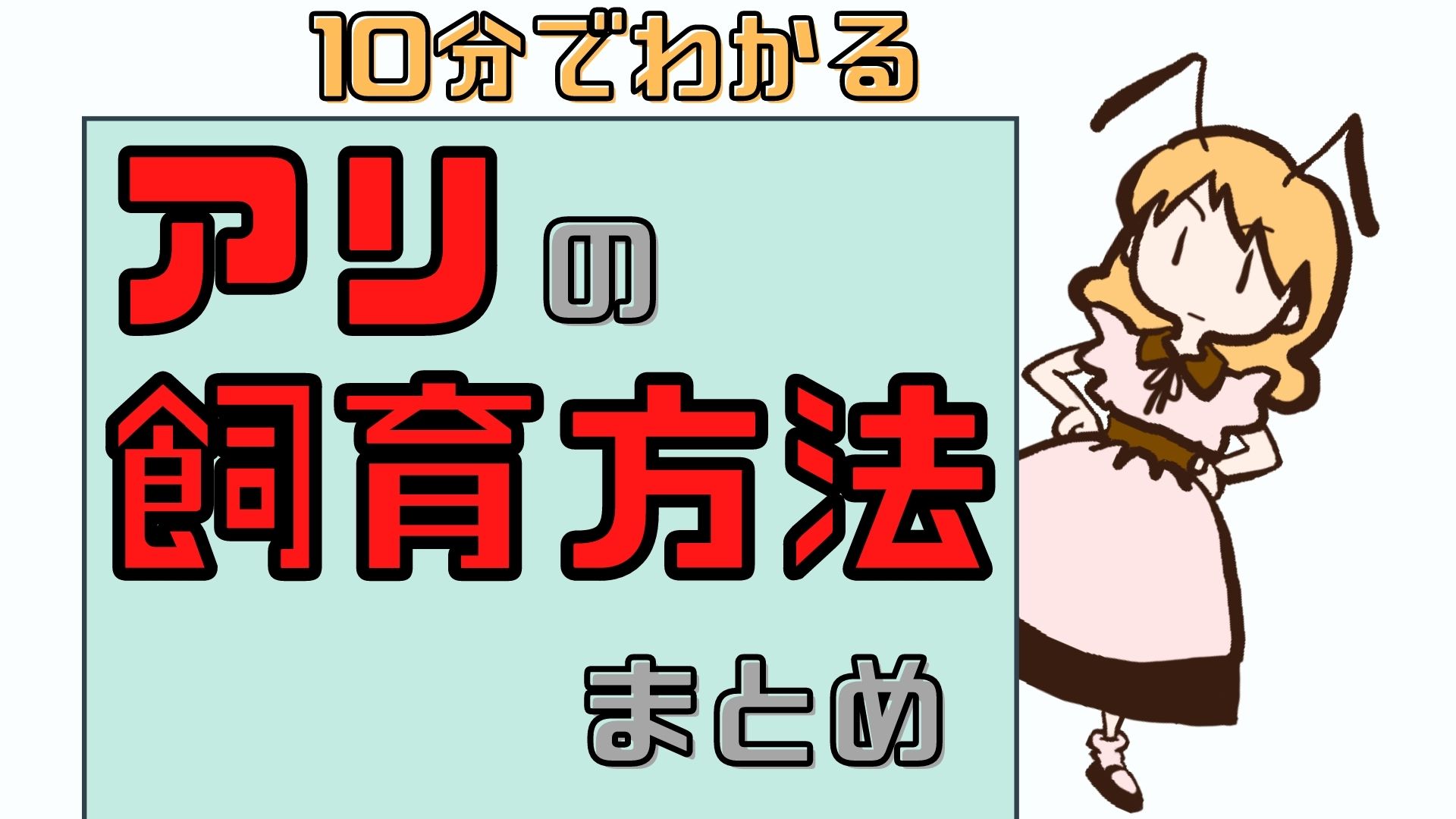 10分でわかる アリの飼育方法まとめ 決定版 初心者でも大丈夫 ありぐら