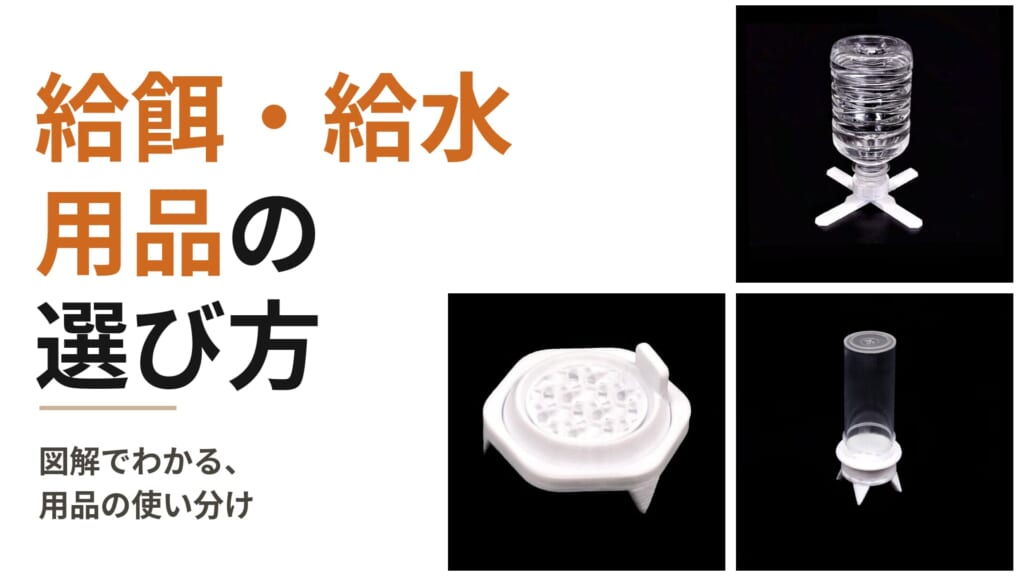 アリの給餌・給水用品の選び方。図解でわかる、用品の使い分け。