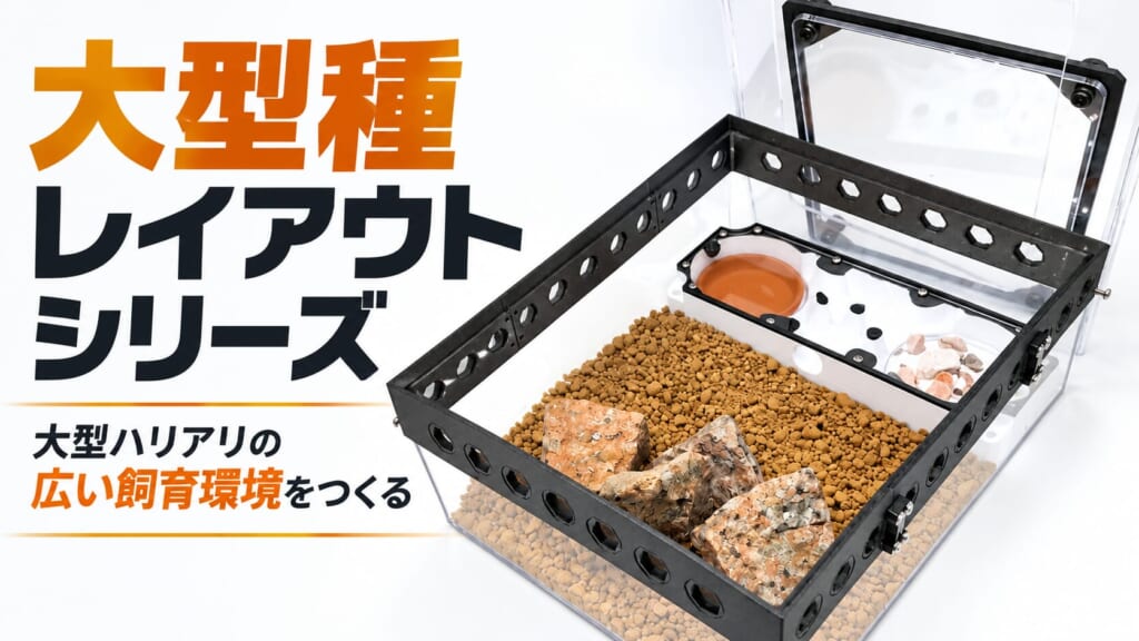 大型種レイアウトシリーズのアイキャッチ