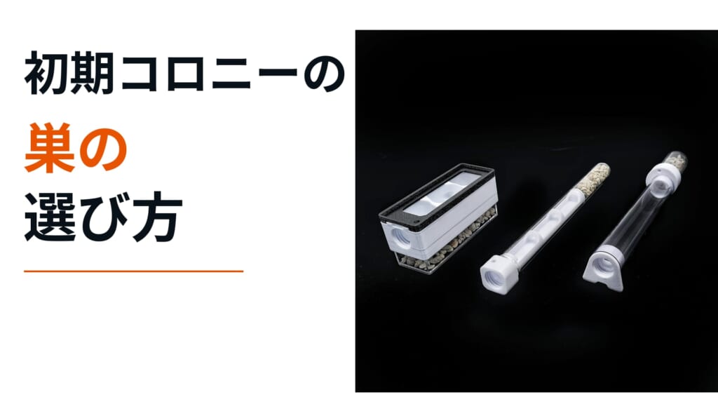 初期コロニーの巣の選び方。試験管セパレーターv2、パイプセパレーター、小型二層巣の実物比較。
