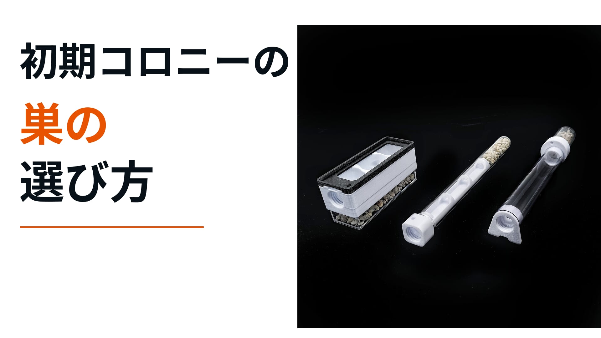 初期コロニーの巣の選び方。試験管セパレーターv2、パイプセパレーター、小型二層巣の実物比較。