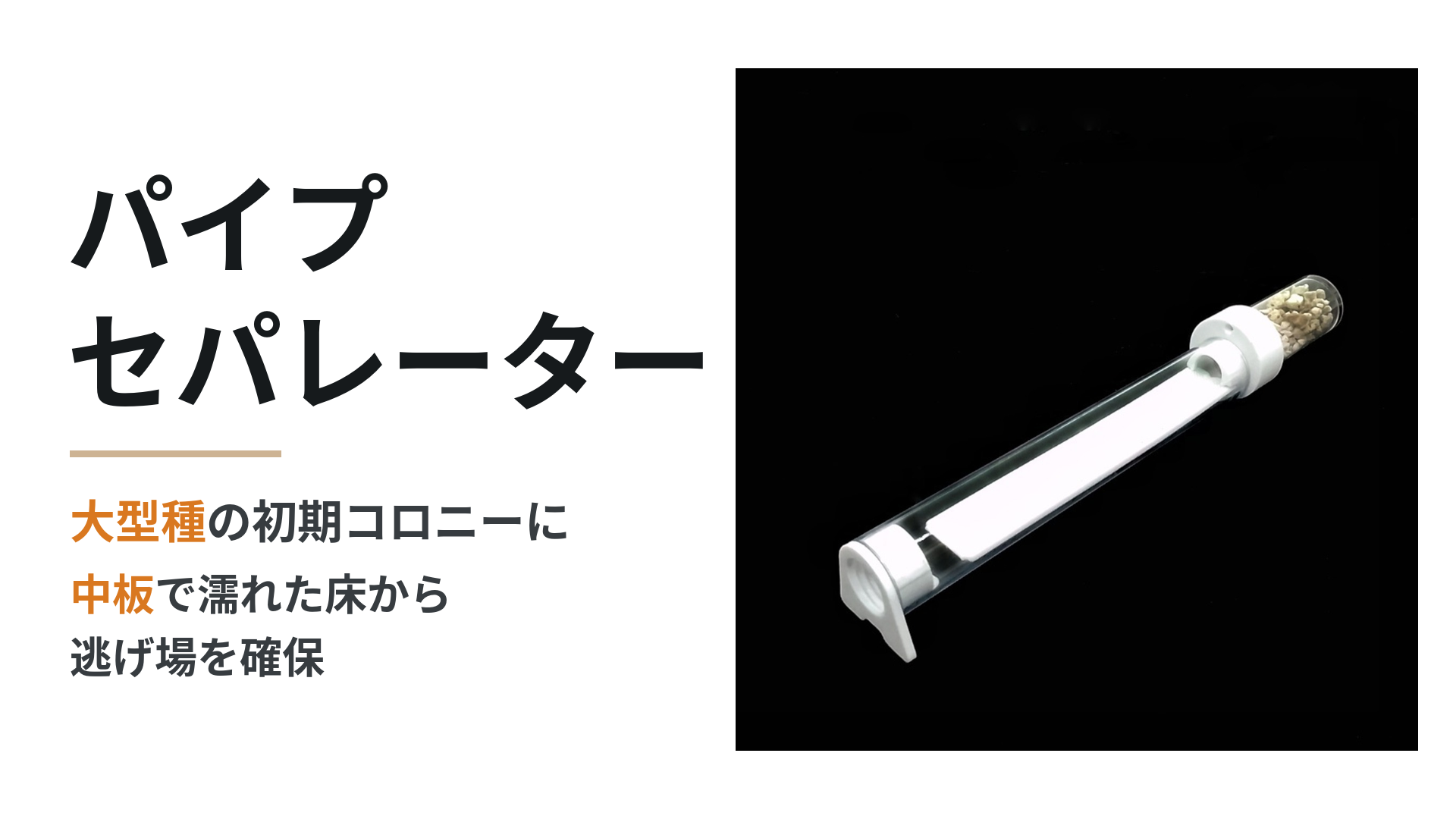 パイプセパレーター。大型種の初期コロニーに、中板で濡れた床から逃げ場を確保。