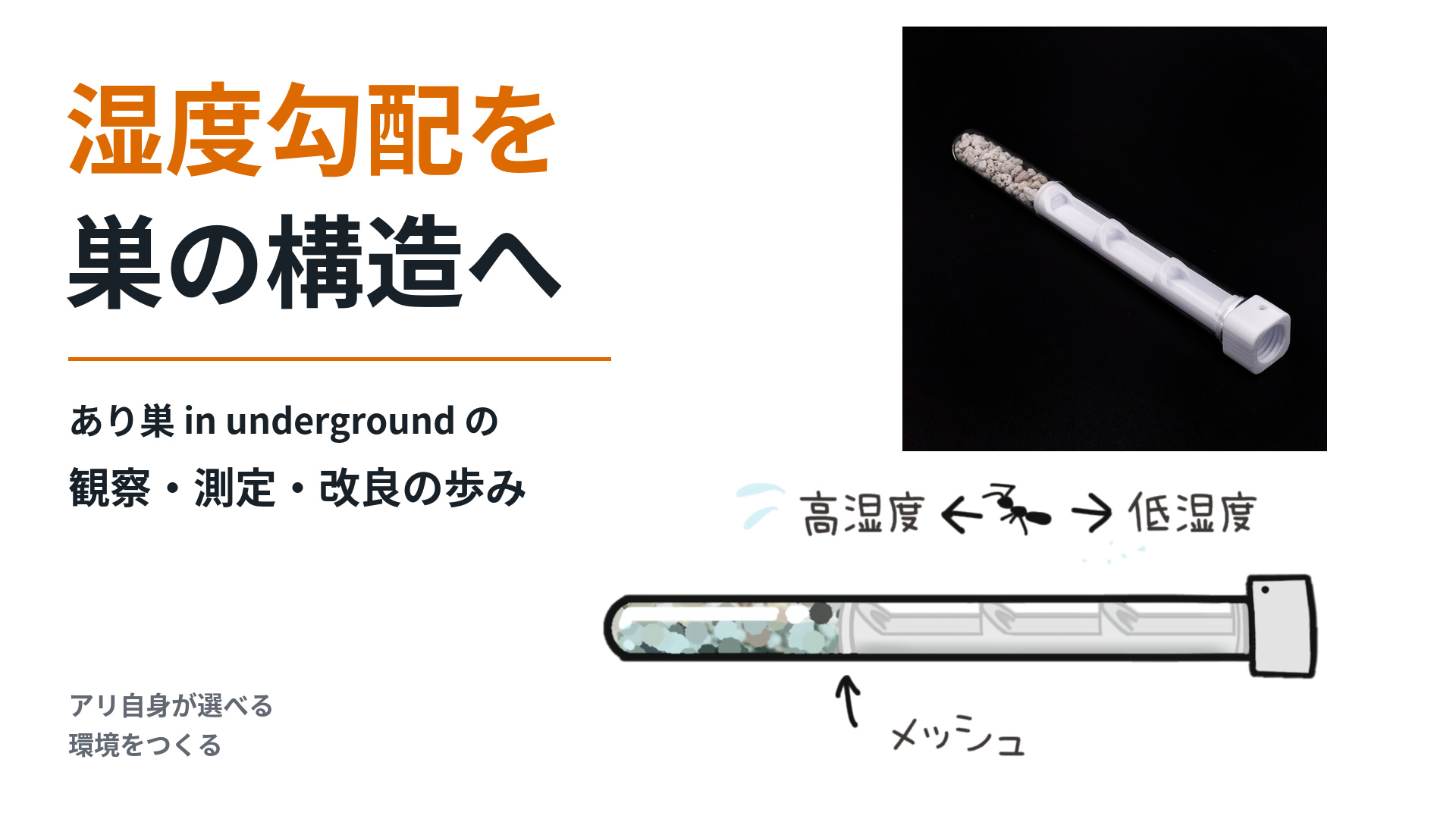 湿度勾配を巣の構造へ。あり巣 in undergroundの観察・測定・改良の歩みを示す試験管セパレーターの写真と模式図